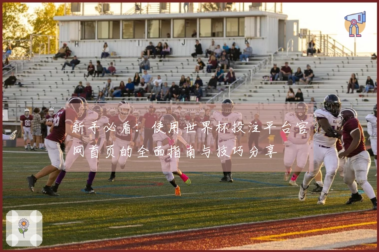 新手必看：使用世界杯投注平台官网首页的全面指南与技巧分享