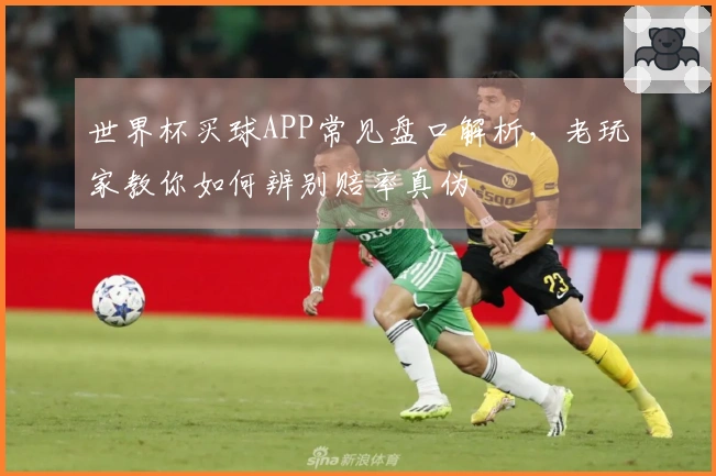世界杯买球APP常见盘口解析,老玩家教你如何辨别赔率真伪