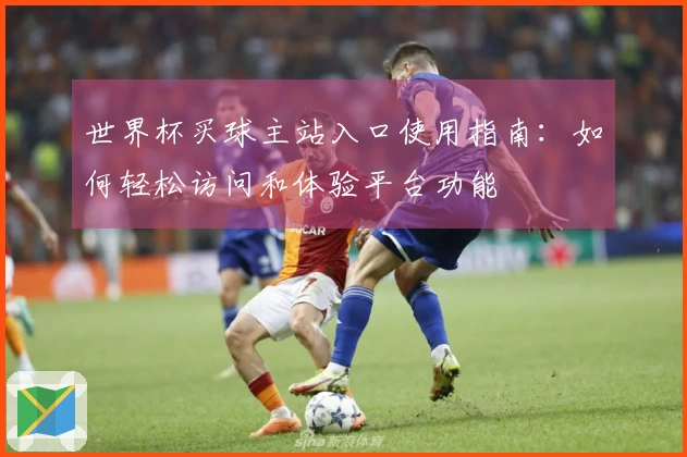 世界杯买球主站入口使用指南：如何轻松访问和体验平台功能