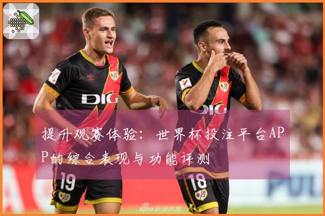 提升观赛体验：世界杯投注平台APP的综合表现与功能评测