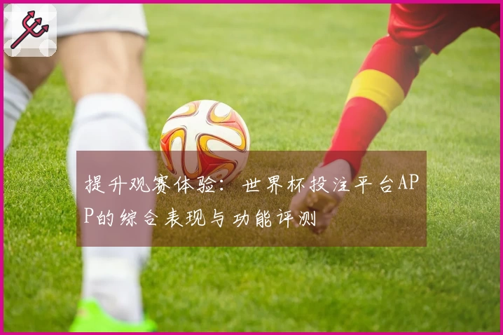 提升观赛体验：世界杯投注平台APP的综合表现与功能评测