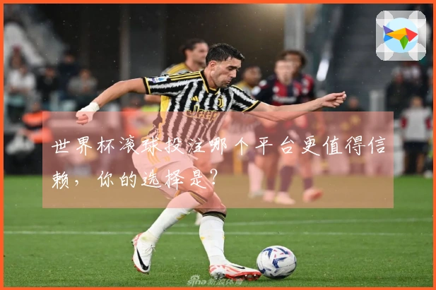 世界杯滚球投注哪个平台更值得信赖,你的选择是?