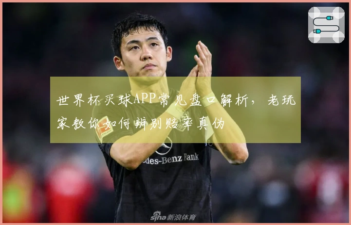 世界杯买球APP常见盘口解析，老玩家教你如何辨别赔率真伪