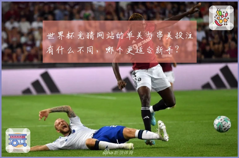 世界杯竞猜网站的单关与串关投注有什么不同，哪个更适合新手？
