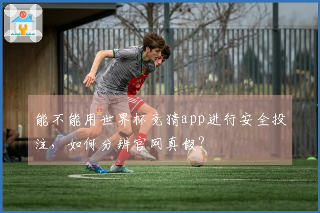 能不能用世界杯竞猜app进行安全投注，如何分辨官网真假？