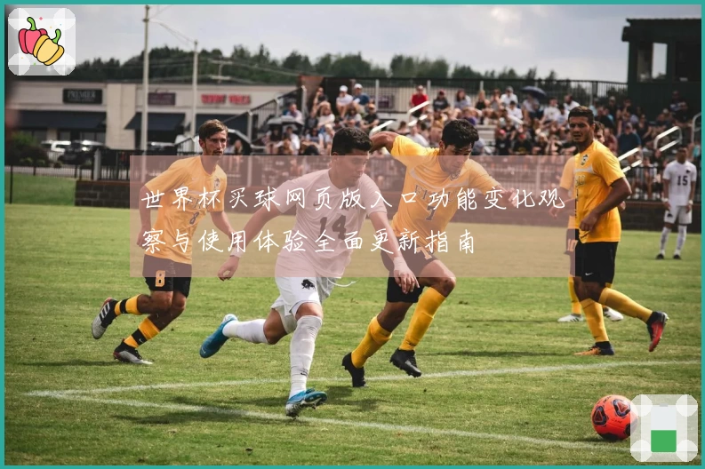 世界杯买球网页版入口功能变化观察与使用体验全面更新指南